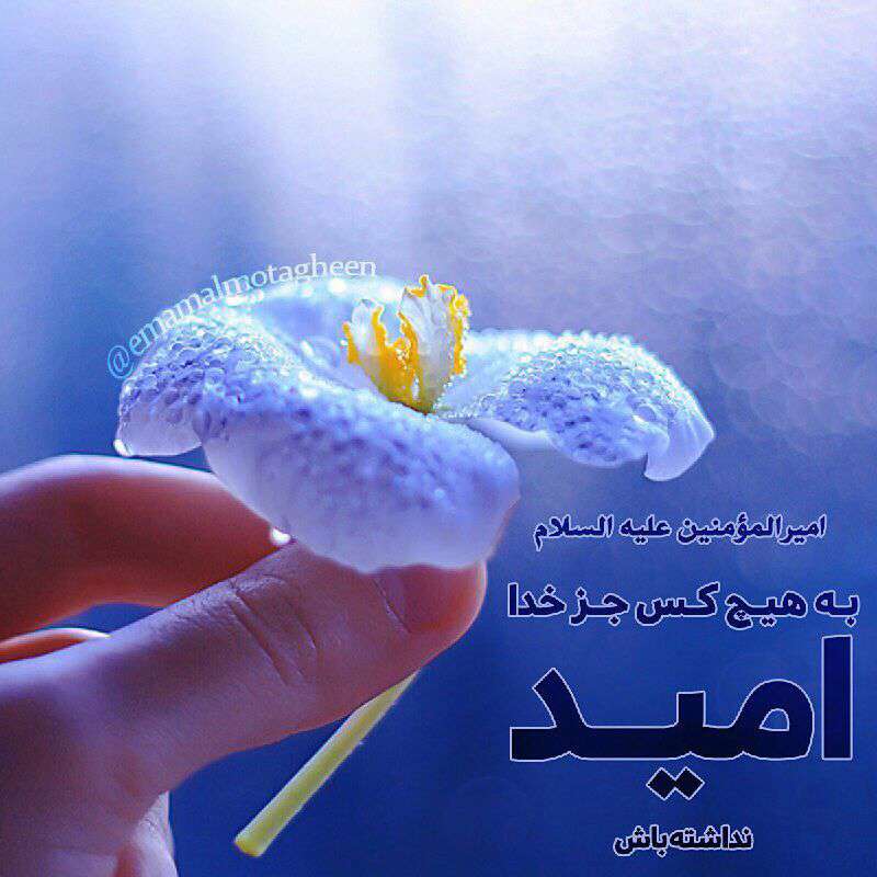 حدیثی از امام علی در مورد امید